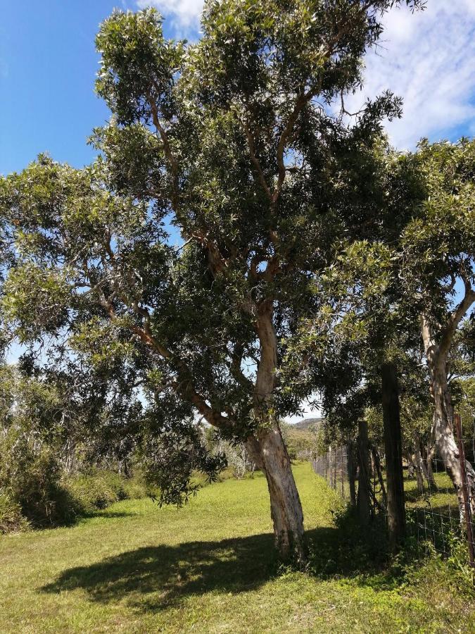 Niaouli Lodge Bourail Bagian luar foto